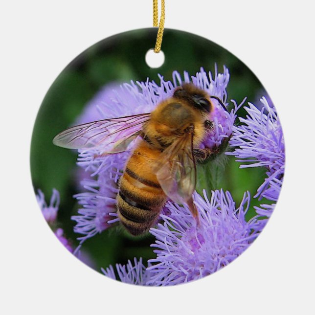 Ornamento del navidad de la abeja (Frente)