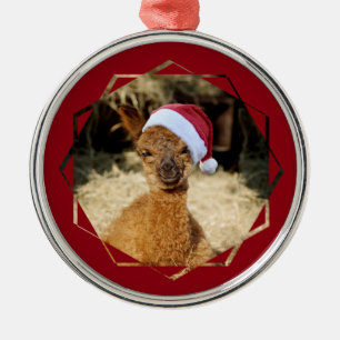 Ornamento del navidad de la alpaca