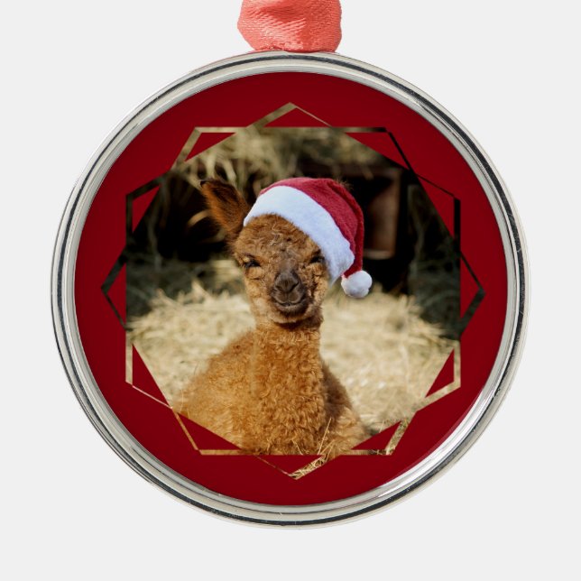 Ornamento del navidad de la alpaca (Frente)