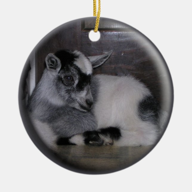 ORNAMENTO DEL NAVIDAD DE LA CABRA GREY/WHITE DEL (Frente)