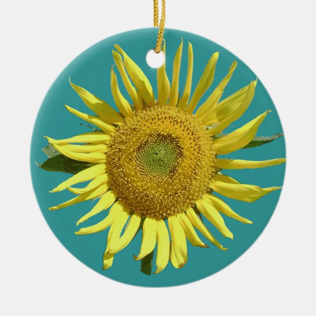 Ornamento del navidad de la esperanza - redondo (Frente)