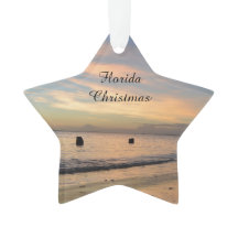 Ornamento del navidad de la Florida
