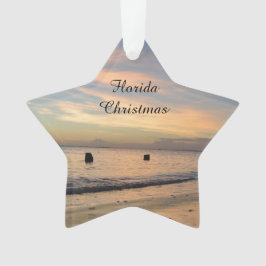 Ornamento del navidad de la Florida