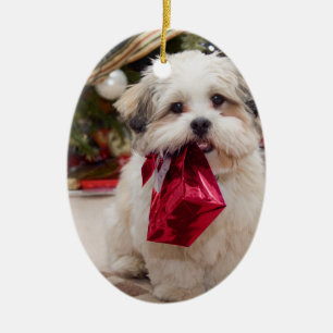 Ornamento del navidad de la foto
