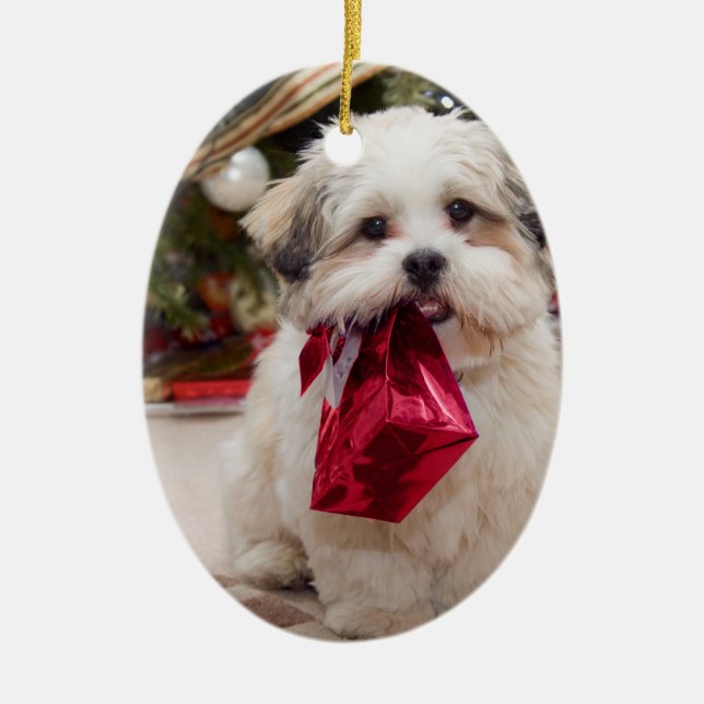 Ornamento del navidad de la foto (Frente)