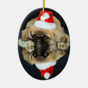 Ornamento del navidad de la foto de Pekingese