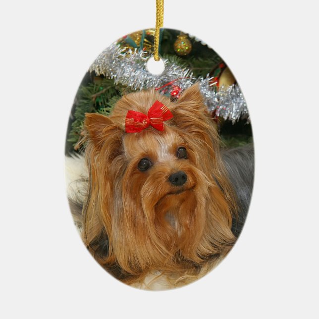 Ornamento del navidad de la foto de Yorkie (Frente)