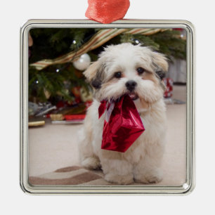 Ornamento del navidad de la foto del mascota