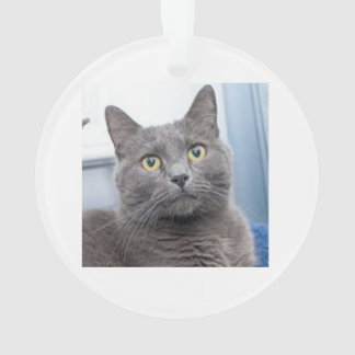 Ornamento del navidad de la gracia salvadora