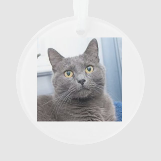 Ornamento del navidad de la gracia salvadora (Reverso)