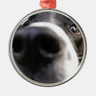 Ornamento del navidad de la nariz de perro del