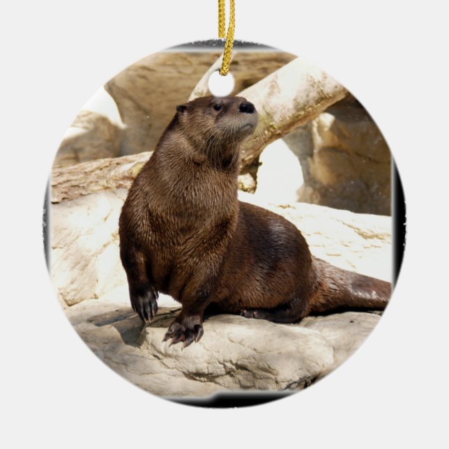 Ornamento del navidad de la nutria (Frente)