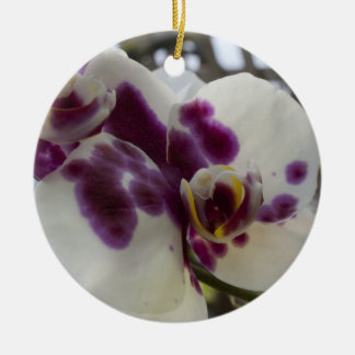 Ornamento del navidad de la orquídea