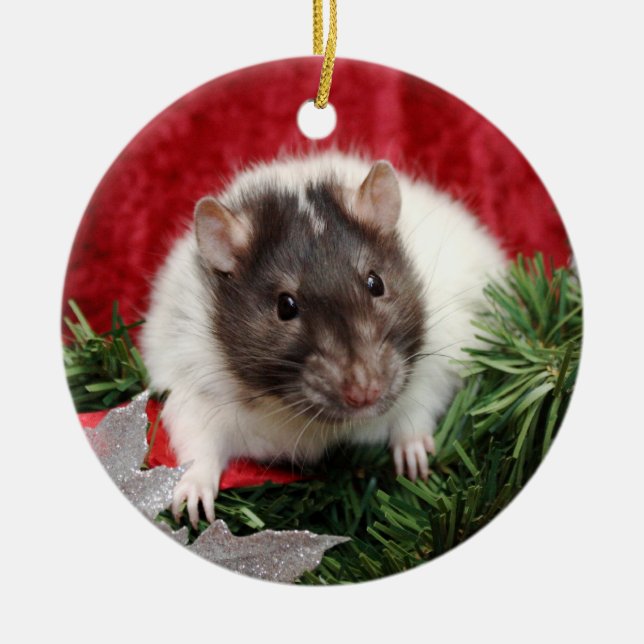 Ornamento del navidad de la rata (Frente)