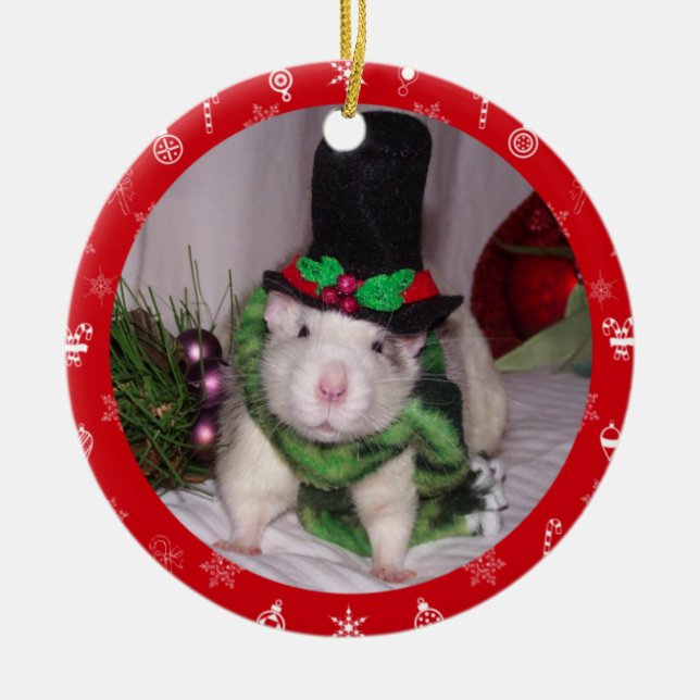 Ornamento del navidad de la rata (Frente)