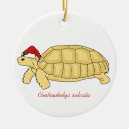 Ornamento del navidad de la tortuga de Sulcata