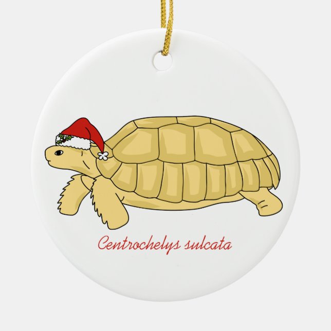 Ornamento del navidad de la tortuga de Sulcata (Frente)