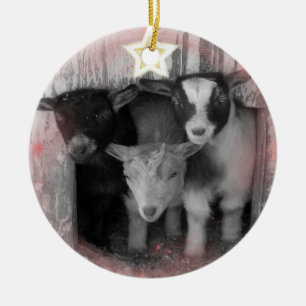 ORNAMENTO DEL NAVIDAD DE LOS BEBÉS DE LA CABRA DE