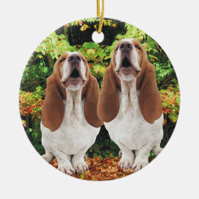 Ornamento del navidad de los perros de (Frente)