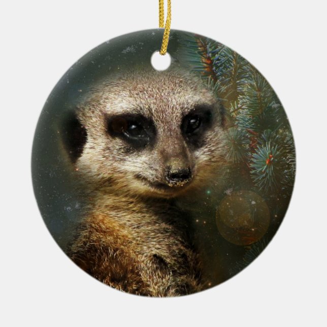 Ornamento del navidad de Meerkat (Frente)