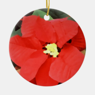 Ornamento del navidad de Noche Buena