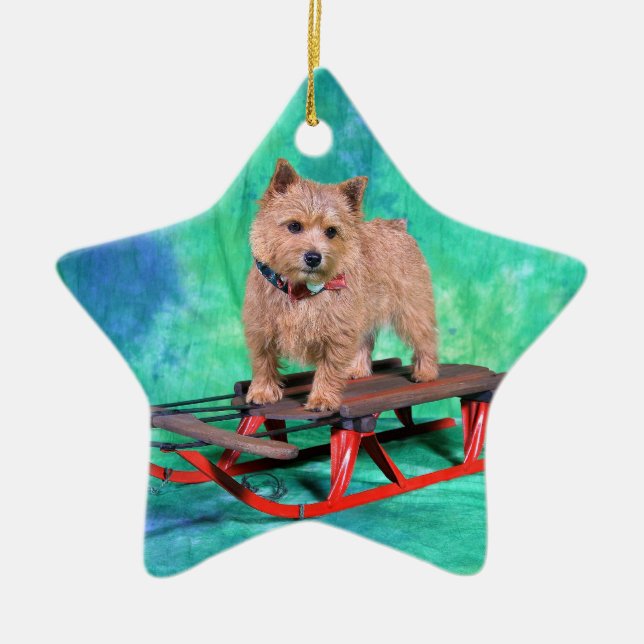 Ornamento del navidad de Norwich Terrier (Frente)