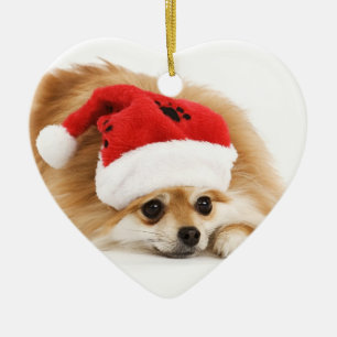 Ornamento del navidad de Pomeranian