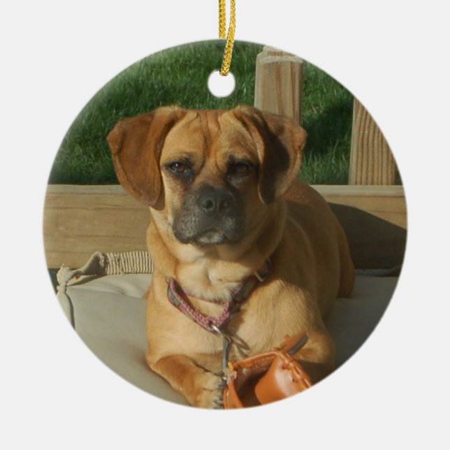 Ornamento del navidad de Puggle (Frente)