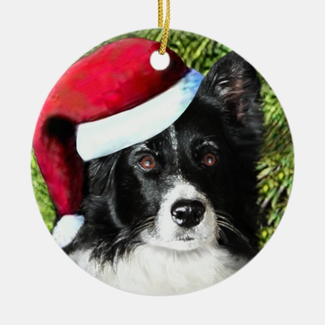 Ornamento del navidad de Santa Hat Border Collie (Frente)