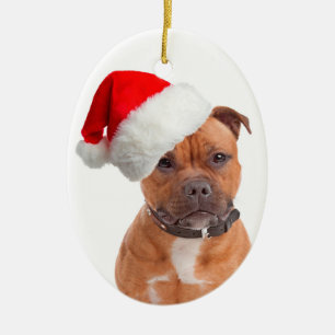 Ornamento del navidad de Santa Staffie