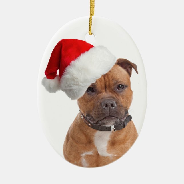 Ornamento del navidad de Santa Staffie (Frente)