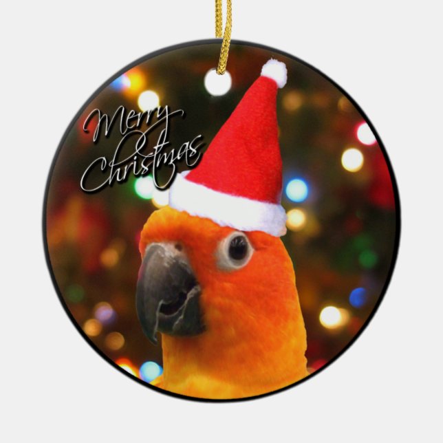 Ornamento del navidad de Santa Sun Conure (Frente)