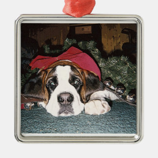 Ornamento del navidad de St Bernard