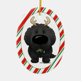 Ornamento del navidad de Terranova