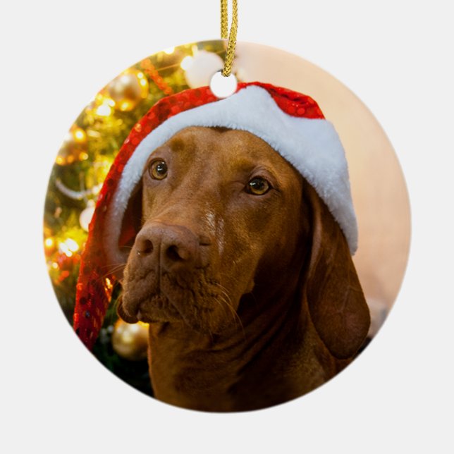 Ornamento del navidad de Vizsla (carro) (Frente)