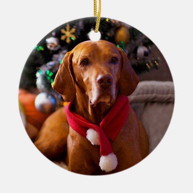 Ornamento del navidad de Vizsla (Henry) (Frente)