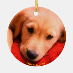 Ornamento del navidad de Winston