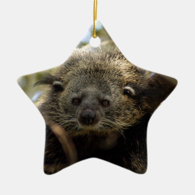 Ornamento del navidad del binturong (Frente)
