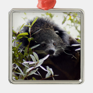 Ornamento del navidad del binturong