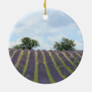 Ornamento del navidad del campo de la lavanda