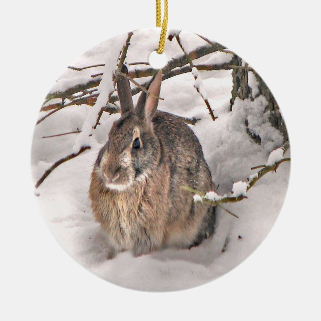 Ornamento del navidad del conejito de la nieve (Frente)