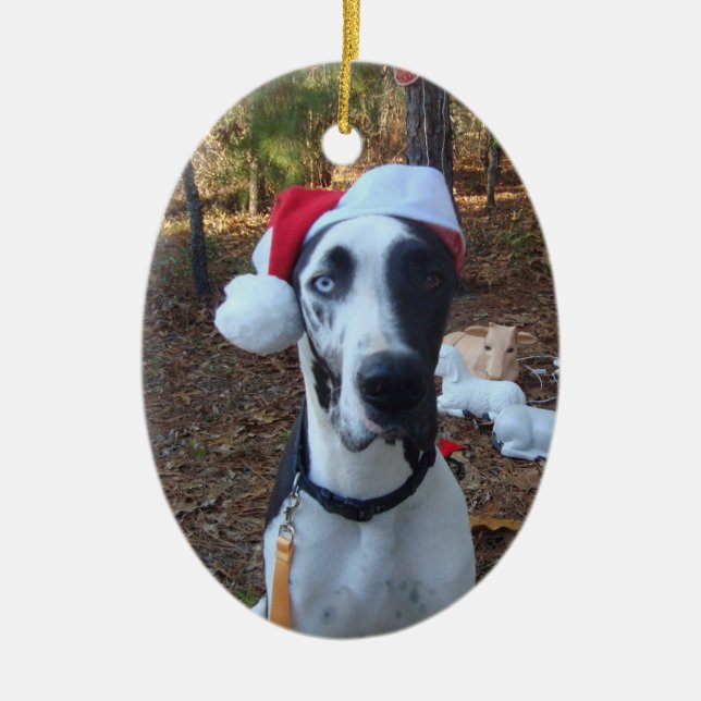 Ornamento del navidad del dormilón (Frente)