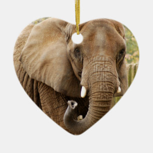 Ornamento del navidad del elefante africano