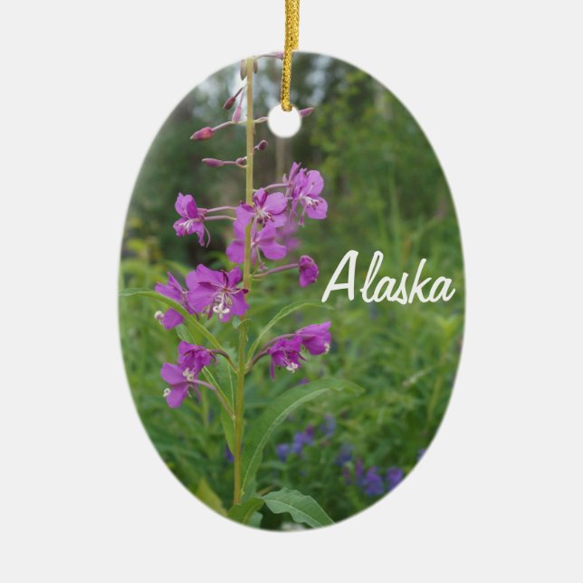Ornamento del navidad del Fireweed de Alaska (Frente)
