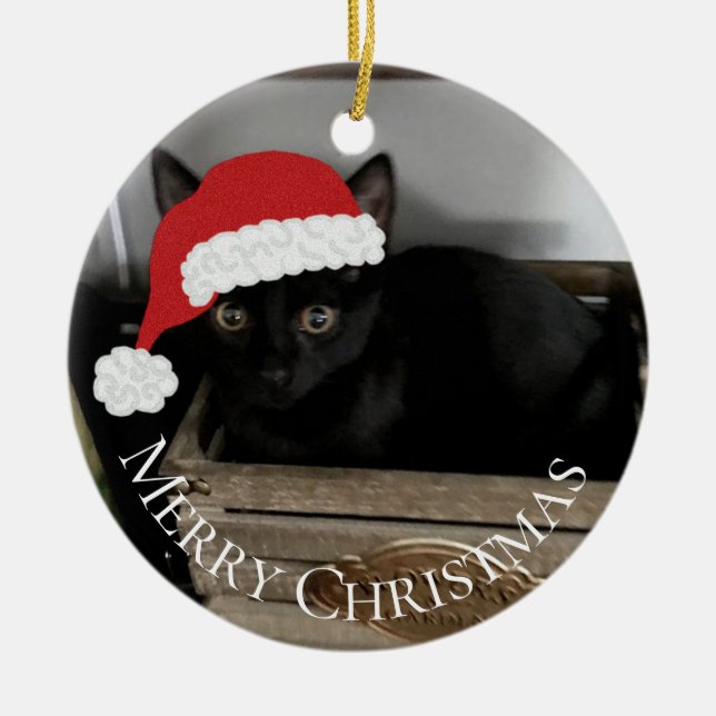 Ornamento del navidad del gatito de Santa (Frente)