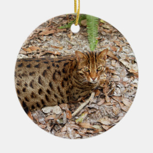 Ornamento del navidad del gato de Bengala