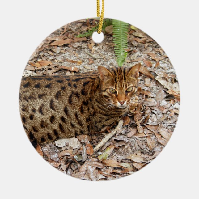 Ornamento del navidad del gato de Bengala (Frente)