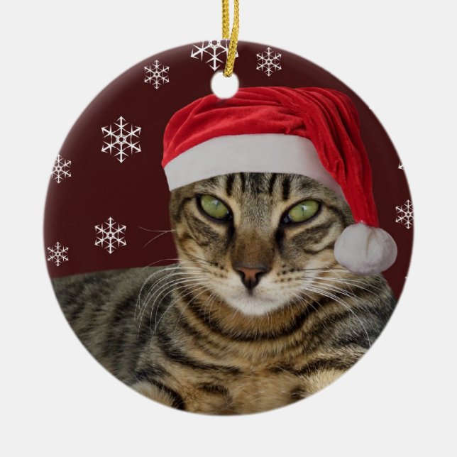 Ornamento del navidad del gato de Santa (Frente)