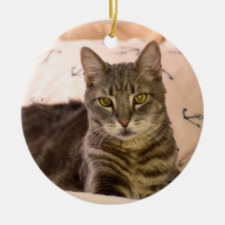 Ornamento del navidad del gato de tabby de Greg