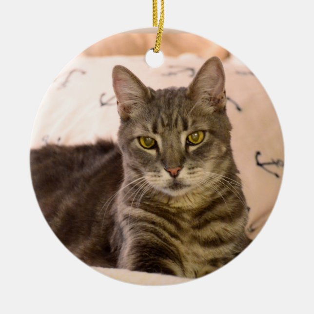 Ornamento del navidad del gato de tabby de Greg (Frente)